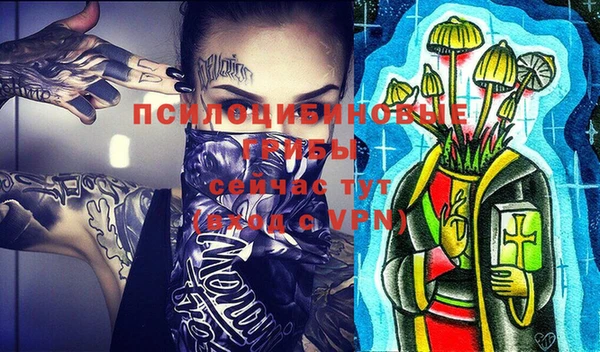 крисы Горнозаводск