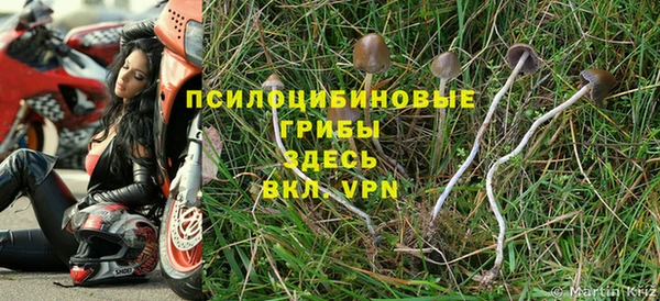 гашишное масло Горняк