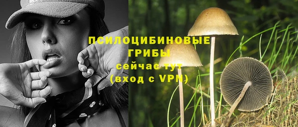крисы Горнозаводск