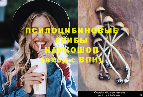 круглые Горно-Алтайск