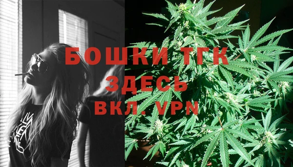гидра Чекалин